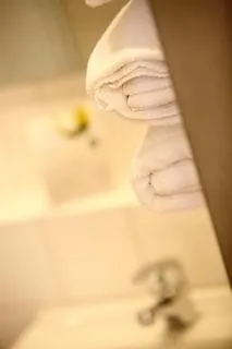 Amedia Express Passau, Trademark Collection By Wyndham